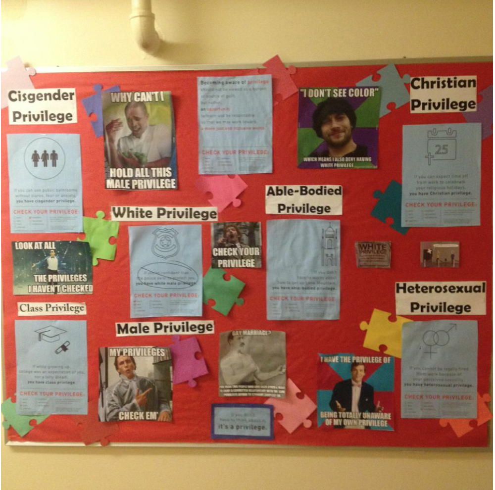 'Check Your Privilege' Posters Outrage College Students "Check Your Privilege" Posters Outrage College Students