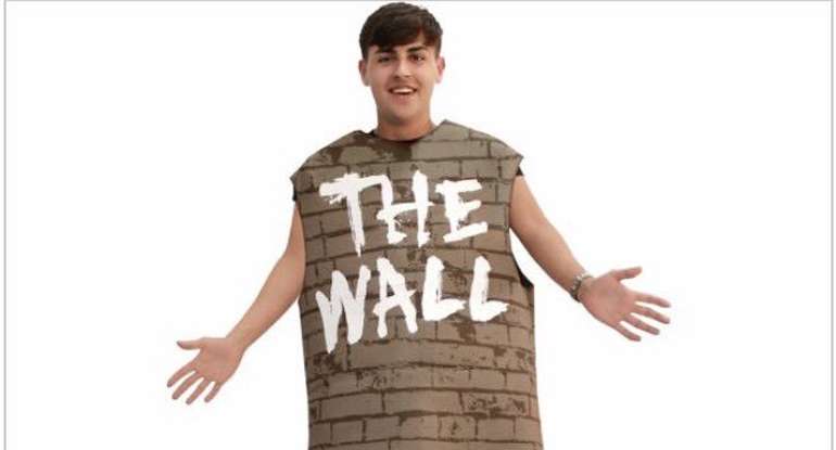 "The Wall" Halloween Costume