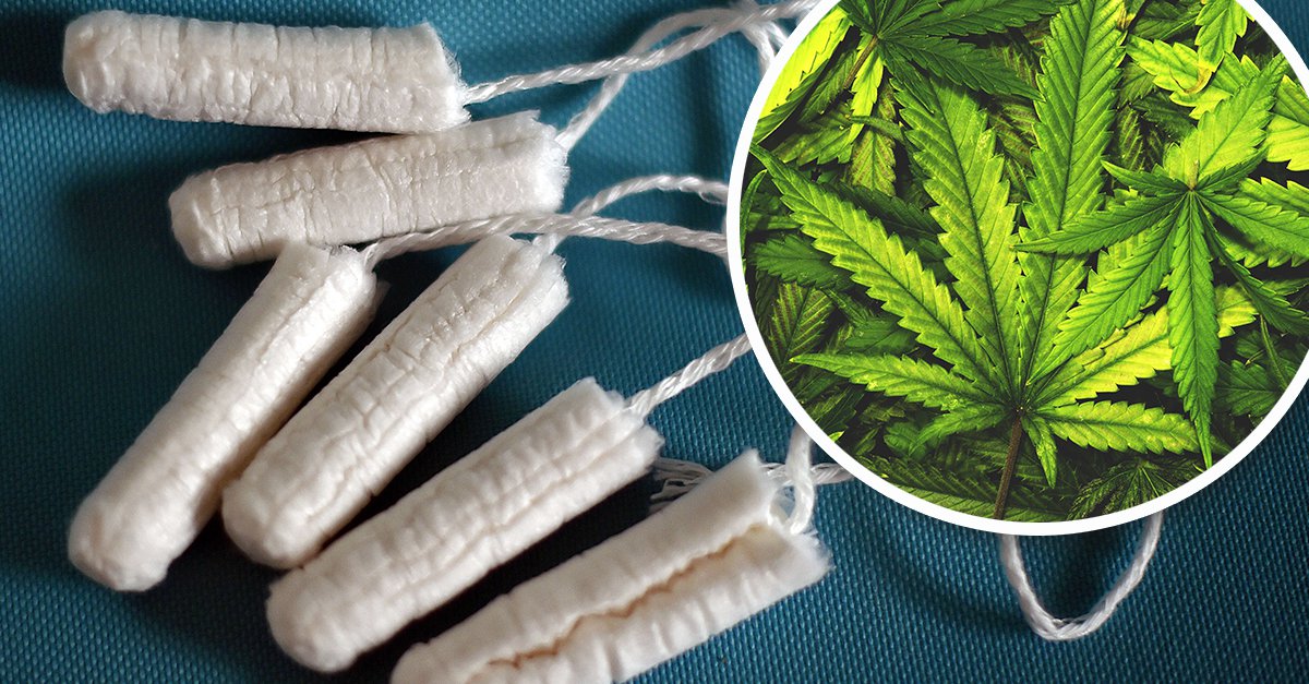 Marijuana Tampons