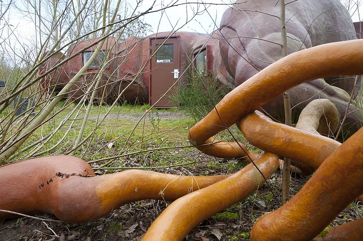 Cross It Off Your Bucket List: You Can Stay In An Anus Hotel In Belgium