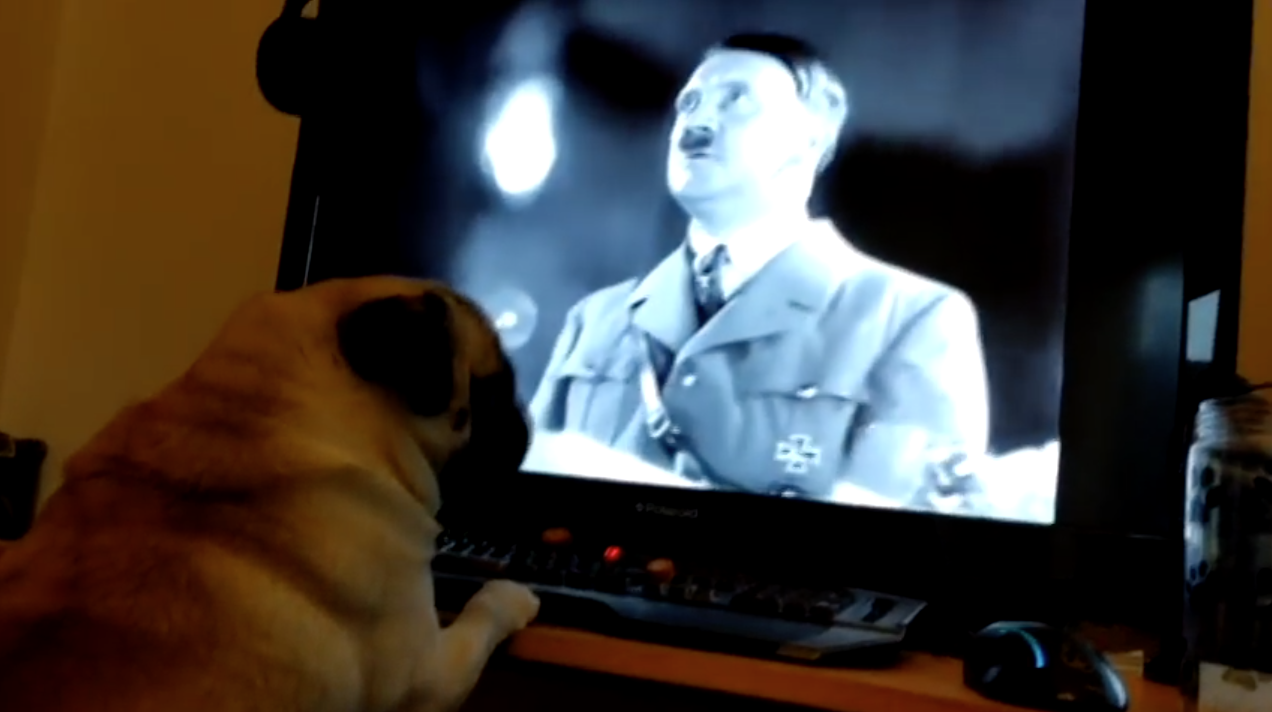 YouTuber Found Guilty After Nazi Pug Video Deemed "Grossly Offensive"