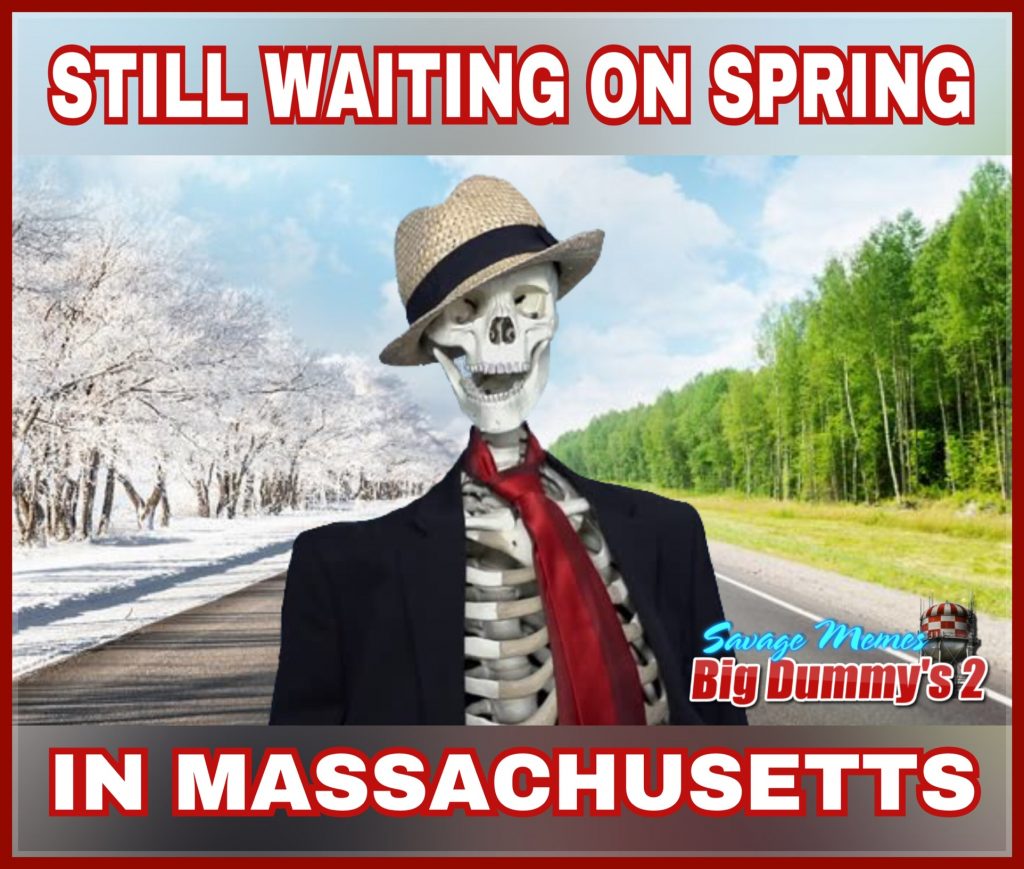 Still Waiting On Spring In Massachusetts Meme Is It Funny Or