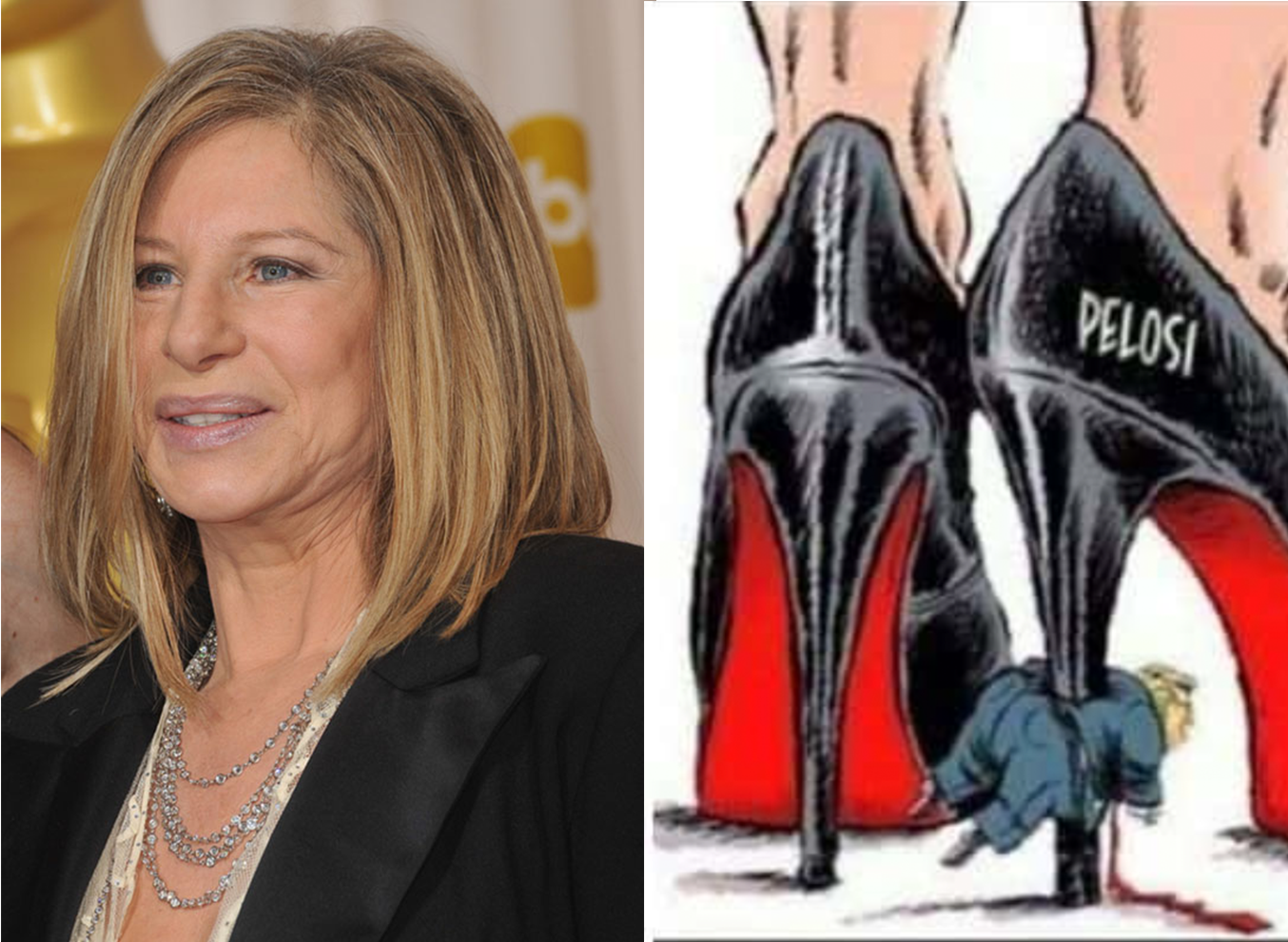 Barbra Streisand Gory Trump Cartoon