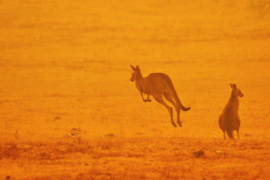 Australia