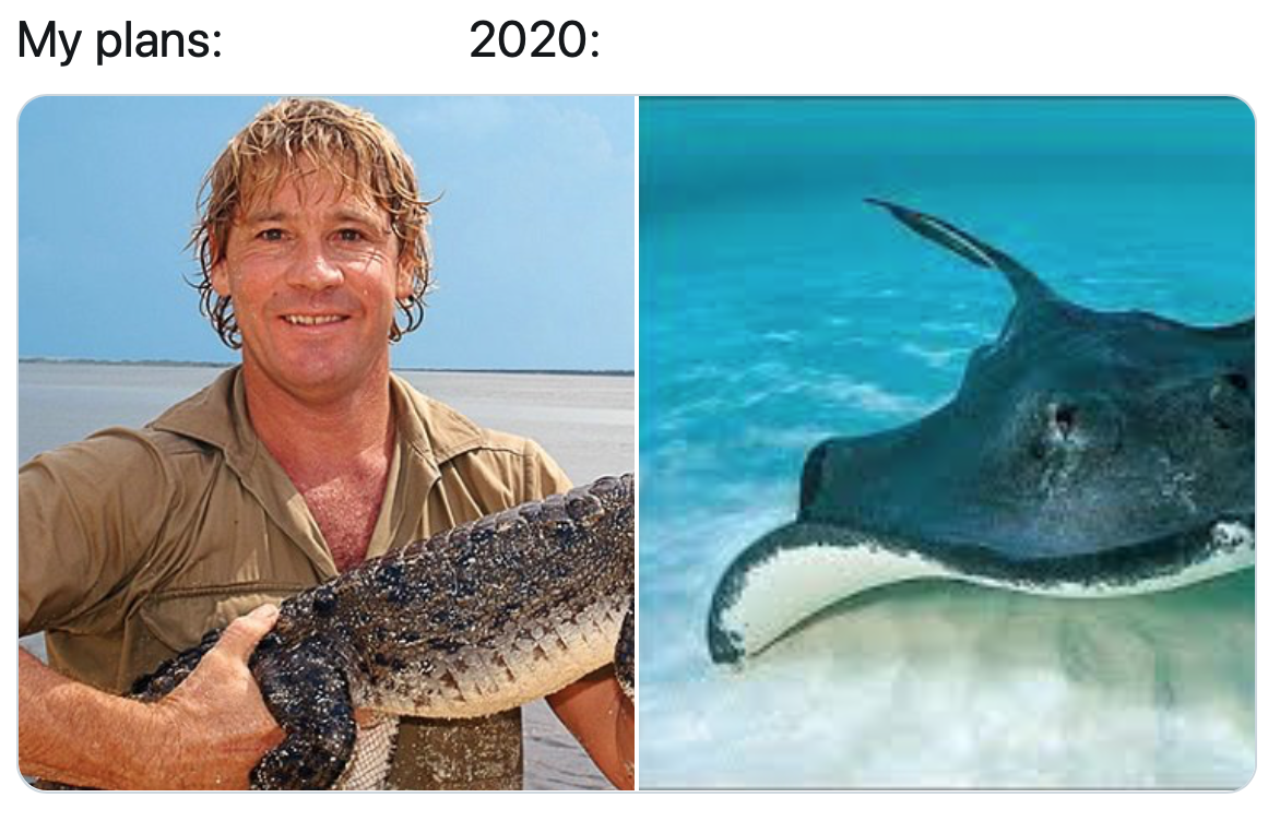 rays mascot steve irwin