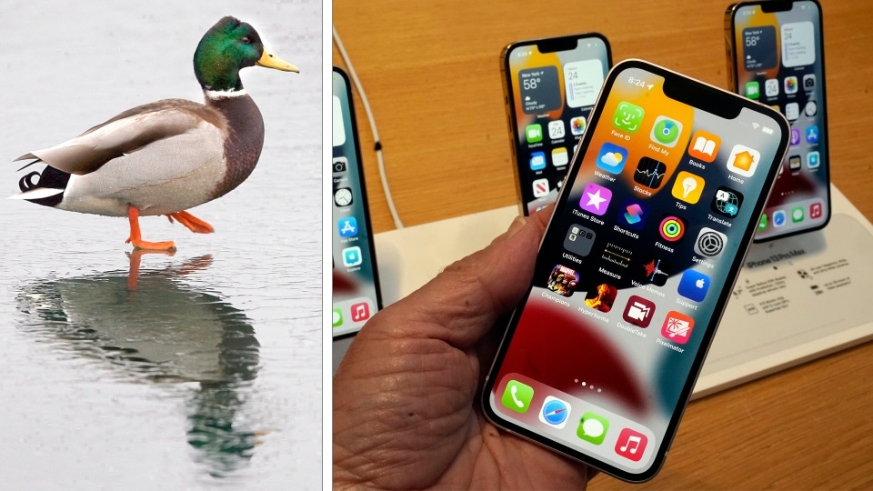 Apple Finally Getting Rid of That Ducking Autocorrect