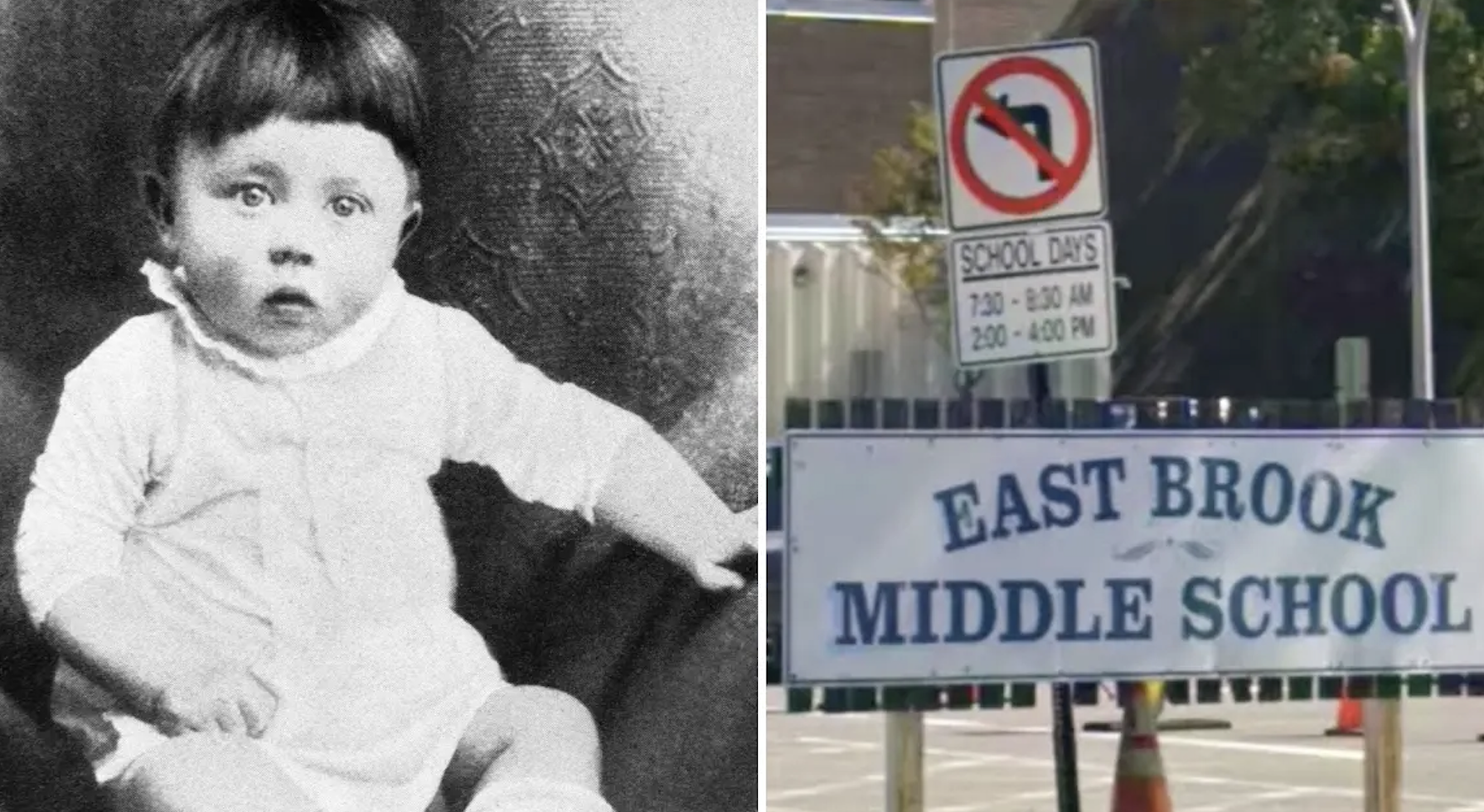Baby Hitler Yearbook